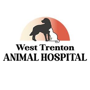 West Trenton Animal Hospital
